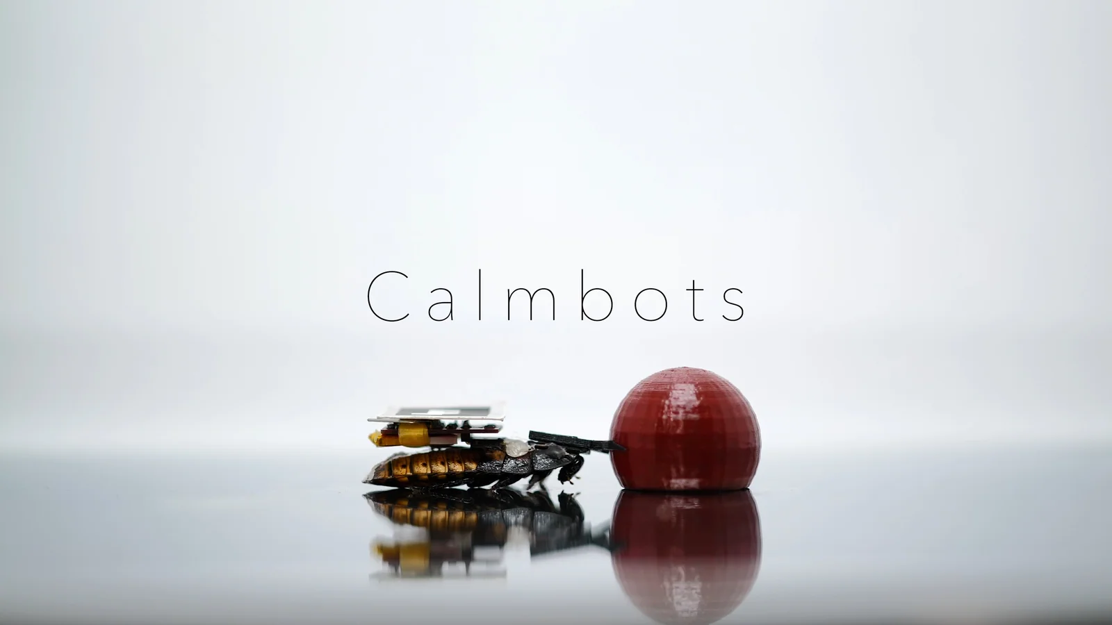 Calmbots
